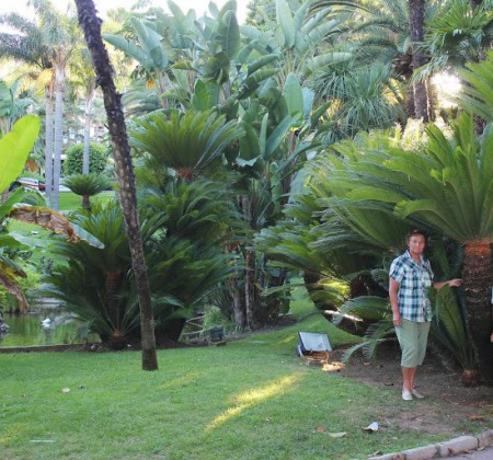 Prantsusmaa palmide all, 2013